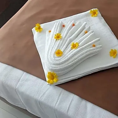Altinay Hotel 4*